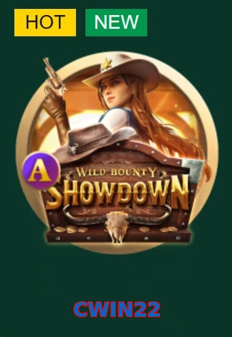 CWIN22