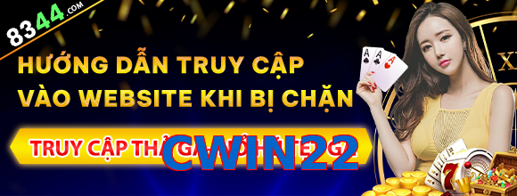 CWIN22